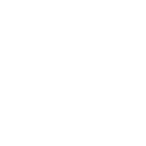 wordpress-simple-brands-4.png